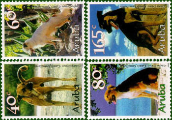 1999 Honden