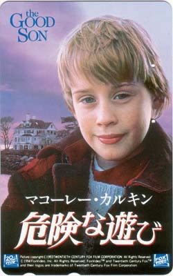 The Good Son, Japan gebr.