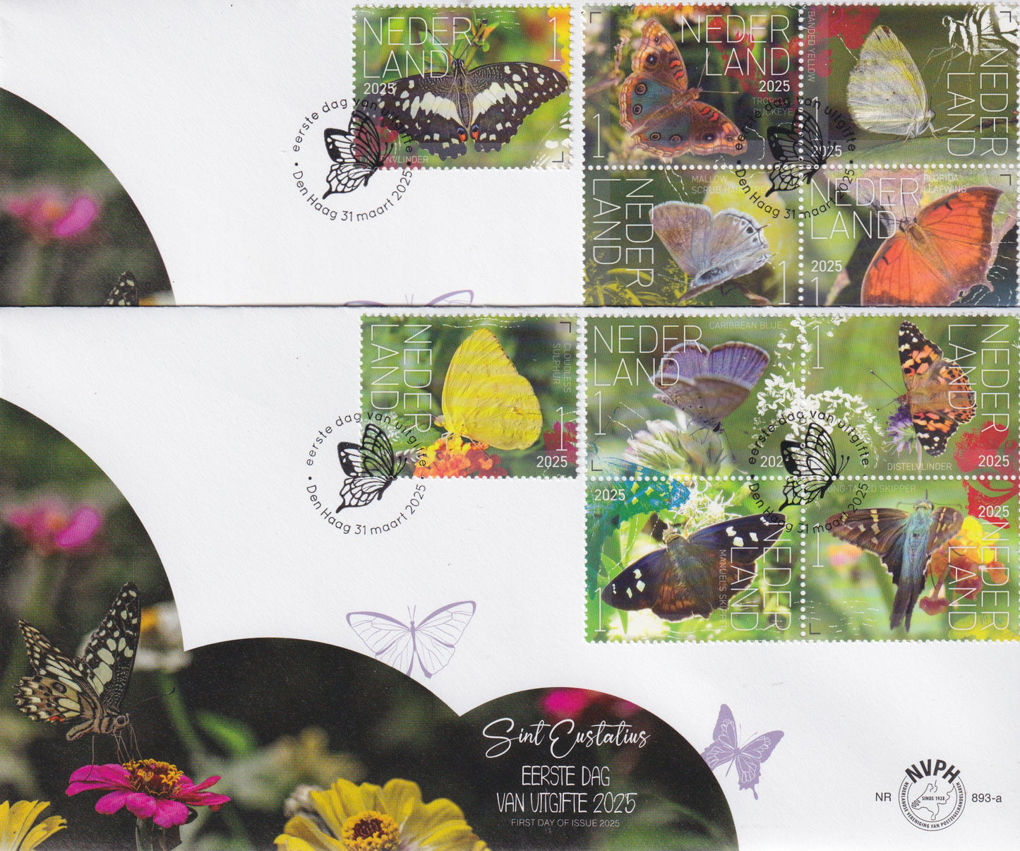 2025 Typisch Nederlands, Vlinders van St. Eustatius