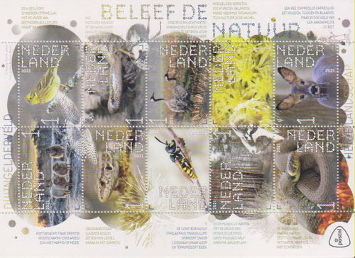 2021 Beleef de Natuur, Dwingelerveld