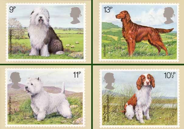 Engeland 1978, Honden