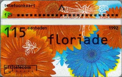 Gerbera s