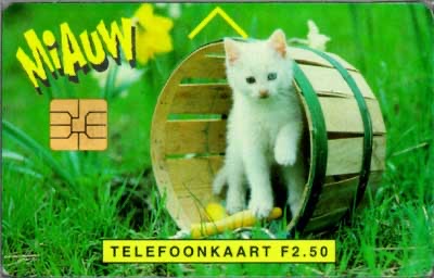 Miauw