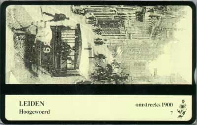 Zonnebloem Leiden