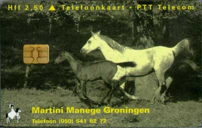 Martini Manege Groningen