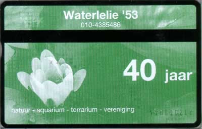 Waterlelie 53