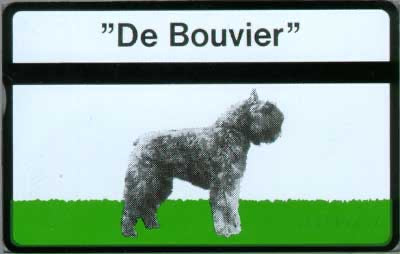 De Bouvier