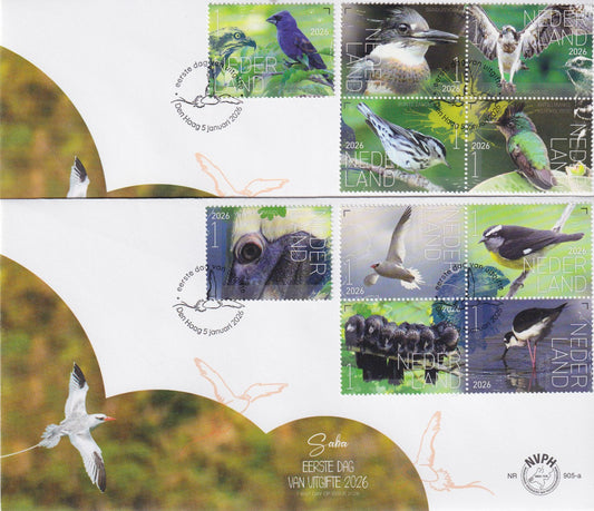 2026 Typisch Nederlands, Vogels Saba