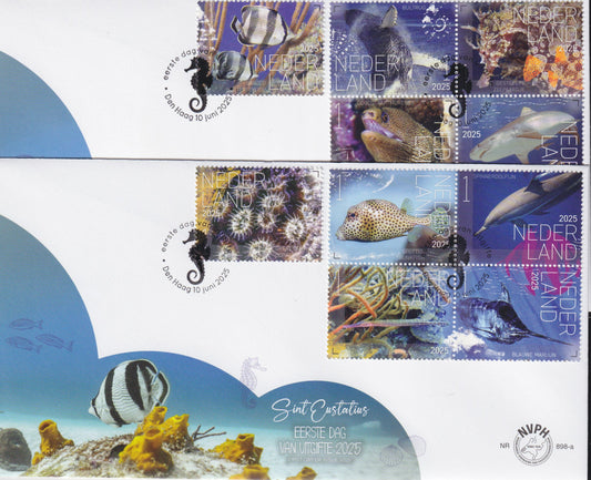 2025 Typisch Nederlands, onderwaterwereld van Sint Eustatius