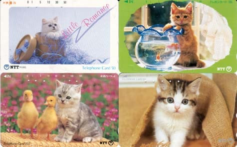 Katten, 4 verschillende Japan gebr.