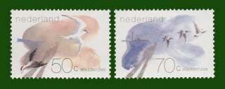 1982 Waddengebied