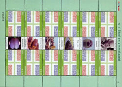 2002 Provincie  6  Groningen