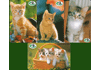 Katten, 4 stuks belfris van 2 DM Clevercat, schaars
