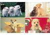 Honden, 4 verschillende Japan gebr.