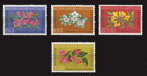 1964 Kinderzegels, bloemen - Klik op de afbeelding om het venster te sluiten