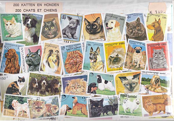 200 different Honden & Katten - Click Image to Close