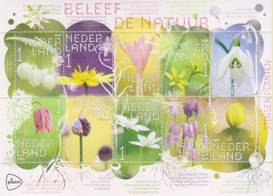 2019 Beleef de Natuur, planten - Click Image to Close