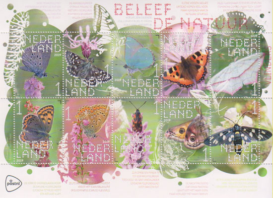 2019 Beleef de Natuur, vlinders - Klik op de afbeelding om het venster te sluiten
