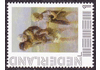 2010 Persoonlijke Postzegel